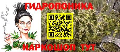 прущие крисы Кинель