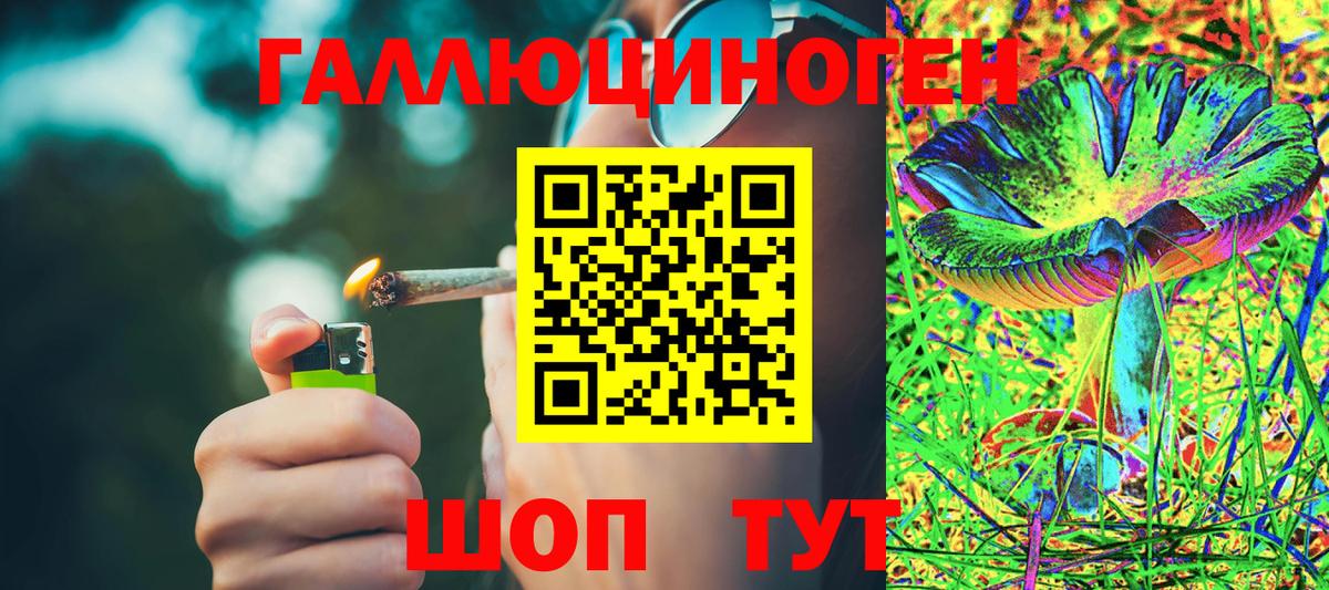 Костомукша  купить наркоту  Вход с VPN  Псилоцибиновые грибы Psilocybine cubensis 